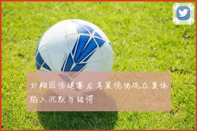 刘翔因伤退赛后鸟巢现场观众集体陷入沉默与错愕
