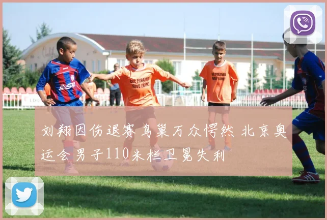 刘翔因伤退赛鸟巢万众愕然 北京奥运会男子110米栏卫冕失利