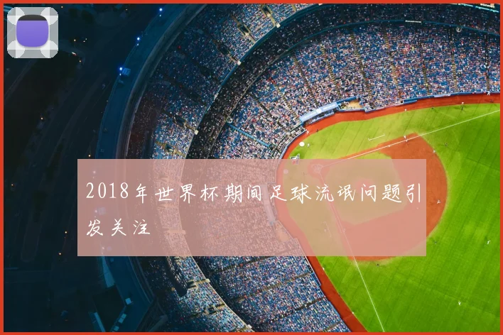2018年世界杯期间足球流氓问题引发关注