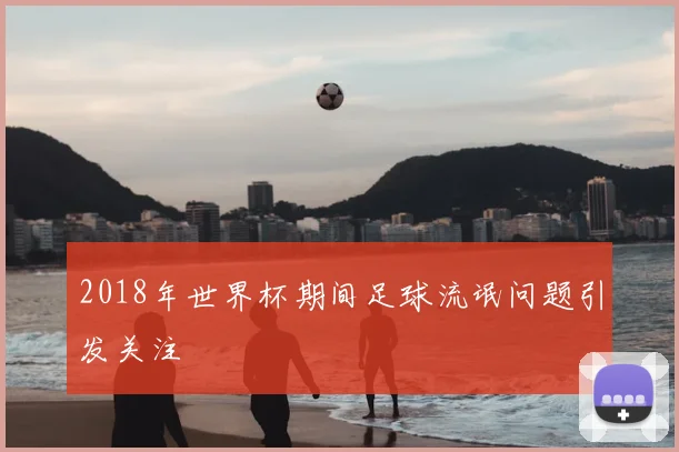 2018年世界杯期间足球流氓问题引发关注