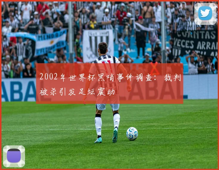 2002年世界杯黑哨事件调查：裁判被杀引发足坛震动