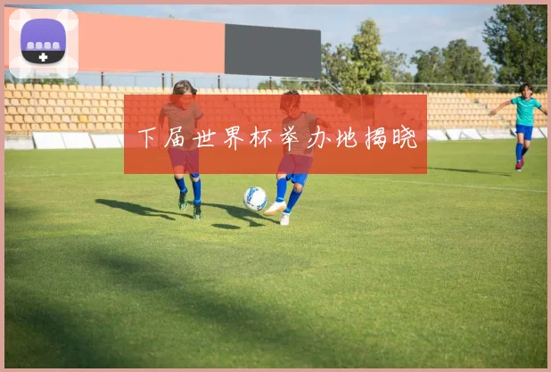 下届世界杯举办地揭晓